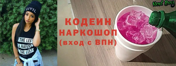 шишки Алзамай